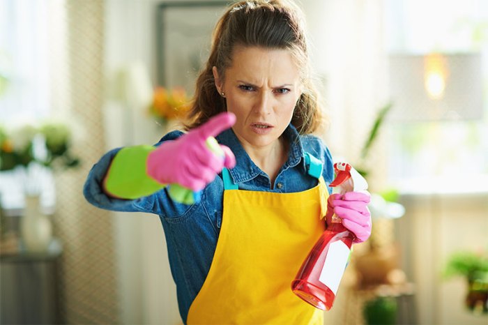 Why We Clean and How to Do It Better | Bond Cleaning Sydney Why We Clean and How to Do It Better | Bond Cleaning Sydney